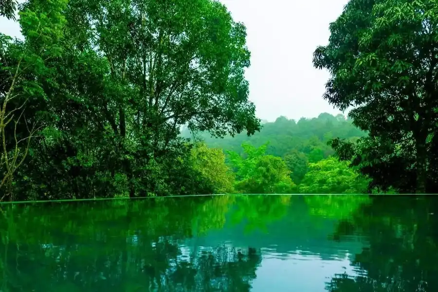 Wayanad Wild - A CGH Earth Experience Views