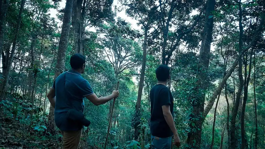 Wayanad Wild - A CGH Earth Experience Views