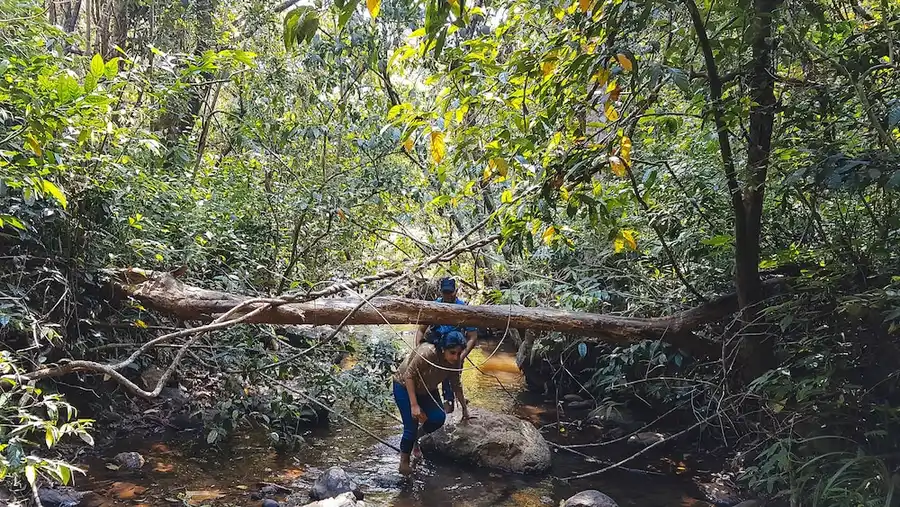 Wayanad Wild - A CGH Earth Experience Views