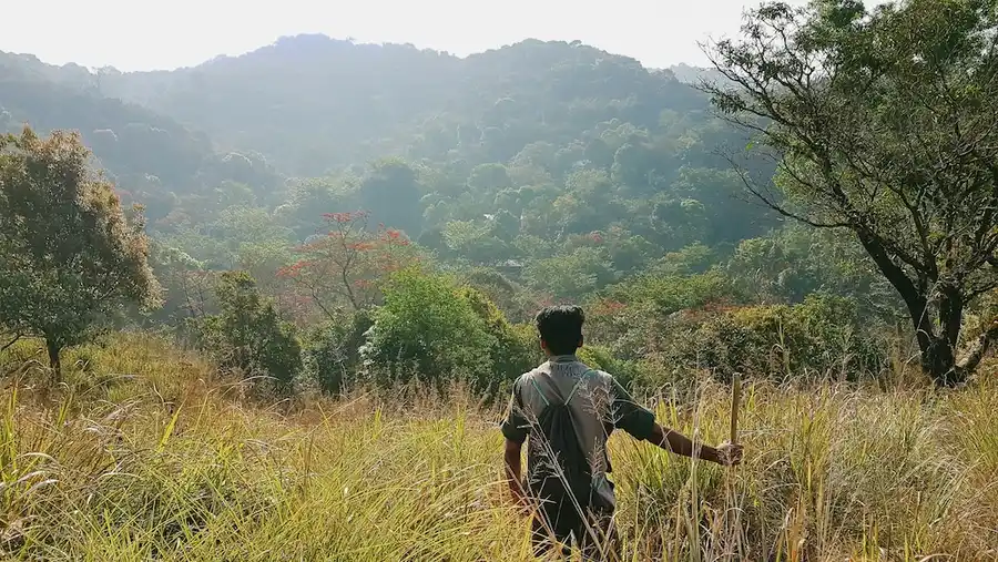 Wayanad Wild - A CGH Earth Experience Views