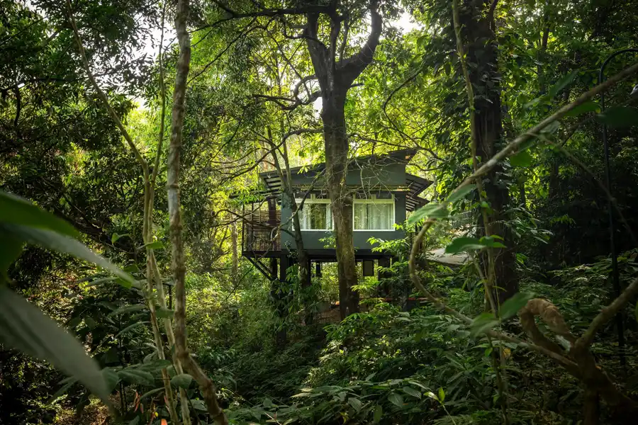 Wayanad Wild - A CGH Earth Experience Others