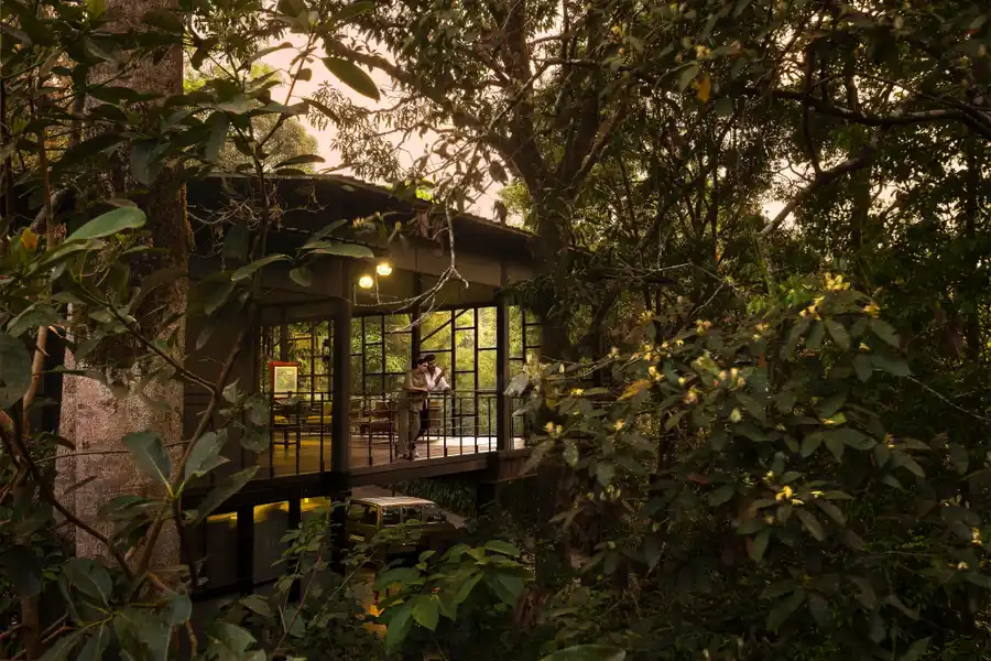 Wayanad Wild - A CGH Earth Experience Others