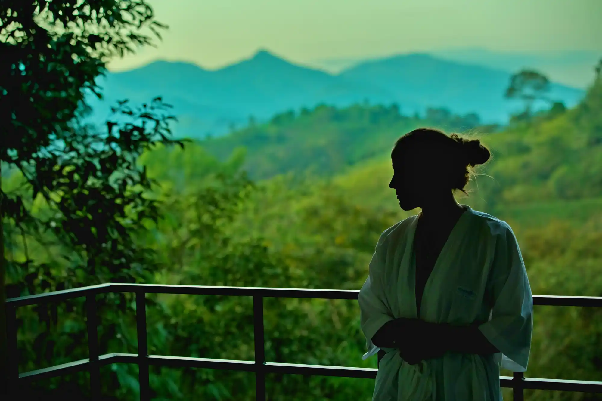 Wayanad Wild - A CGH Earth Experience Others