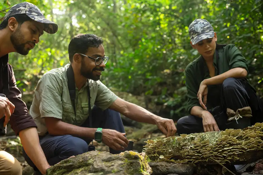 Wayanad Wild - A CGH Earth Experience Others