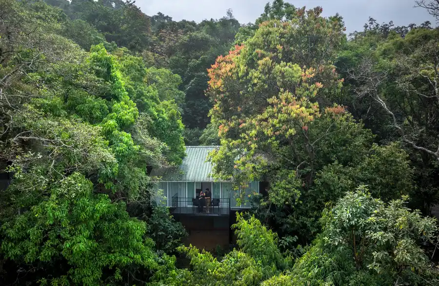 Wayanad Wild - A CGH Earth Experience Others