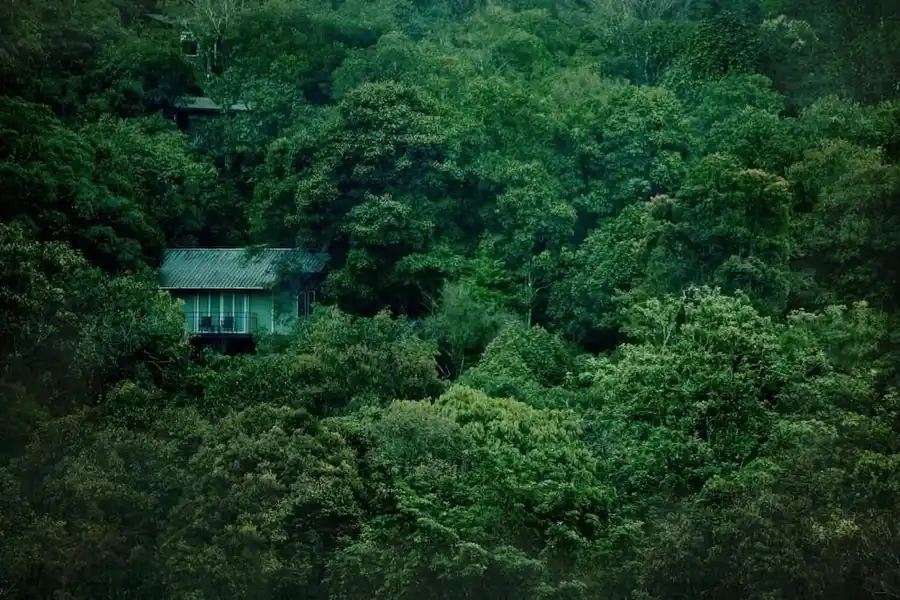 Wayanad Wild - A CGH Earth Experience Others
