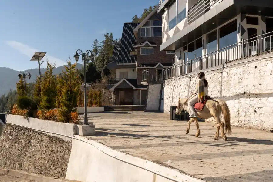 Whispering Alps 3BHK, Shimla