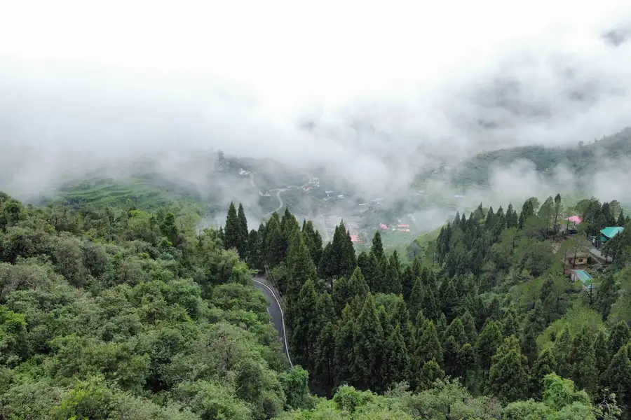 Whispering Echoes, Mussoorie