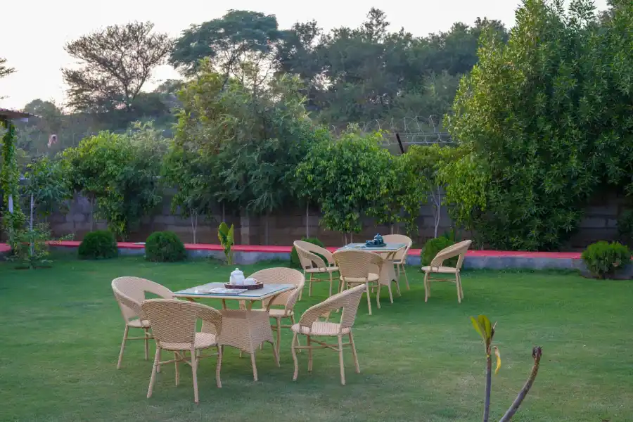 Zenora, Delhi NCR