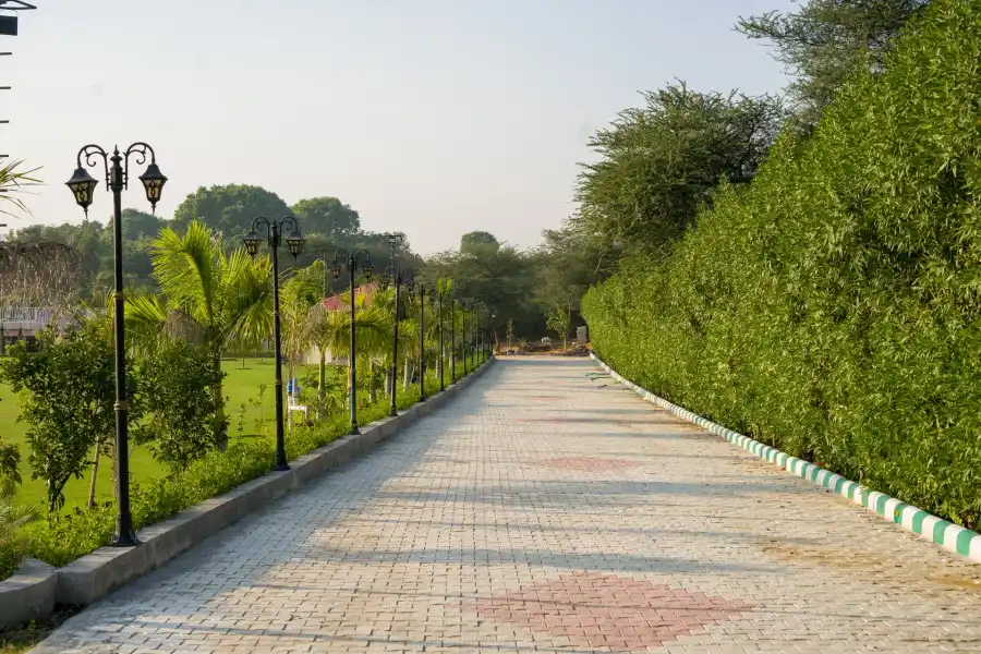 Zenora, Delhi NCR