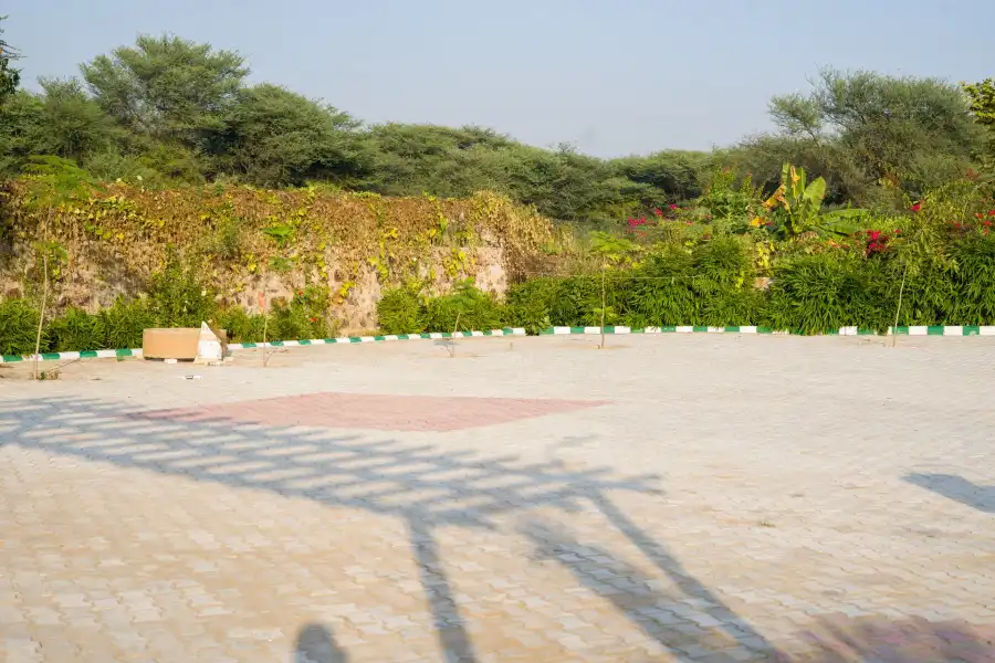 Zenora, Delhi NCR