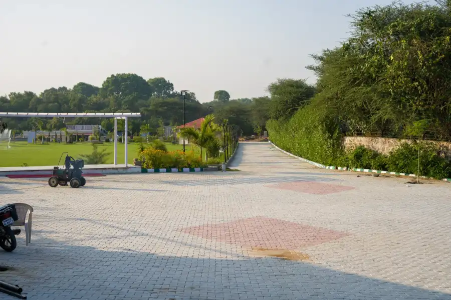 Zenora, Delhi NCR