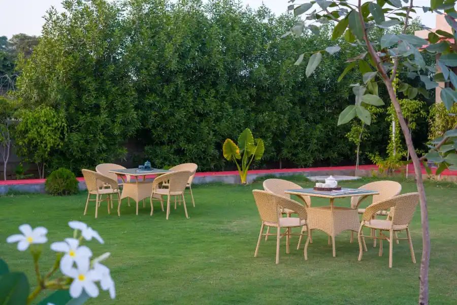 Zenora, Delhi NCR