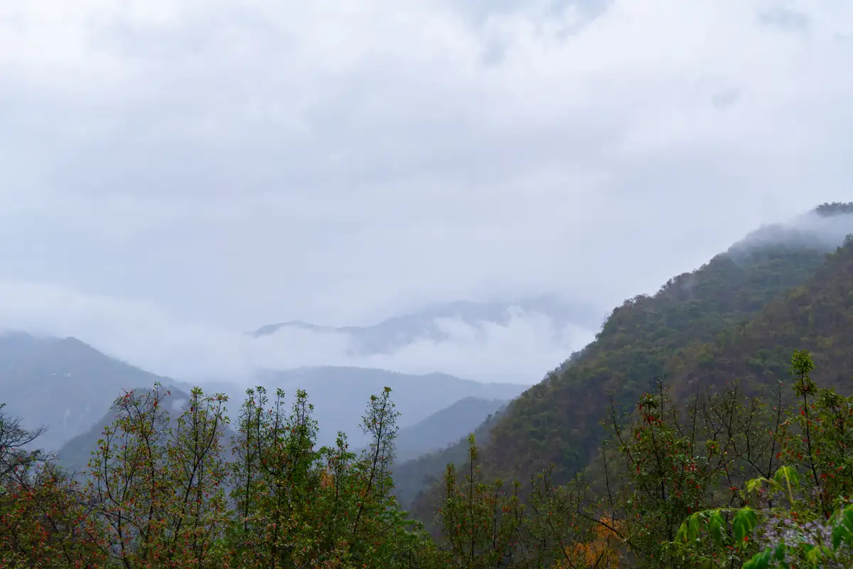 Zephyr Heaven, Mussoorie