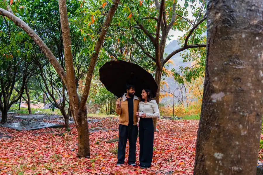 Zephyr Heaven, Mussoorie