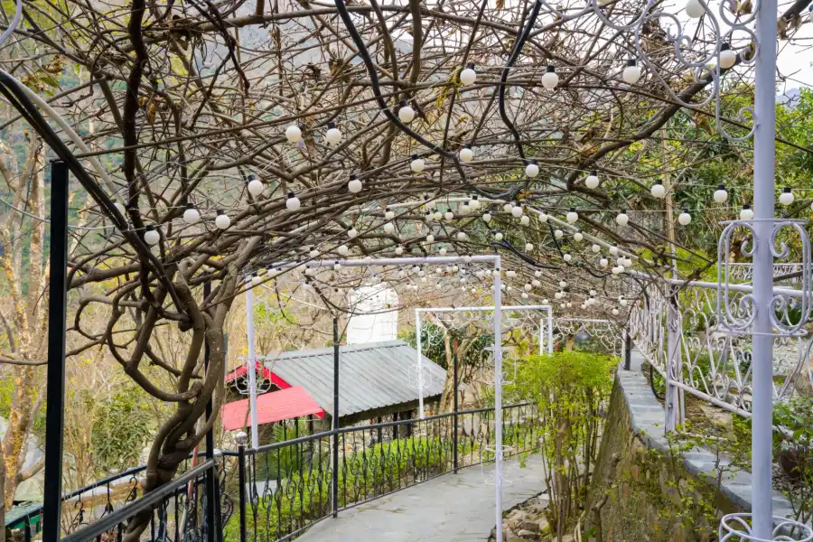 Zephyr Kumaon Cottage, Mussoorie